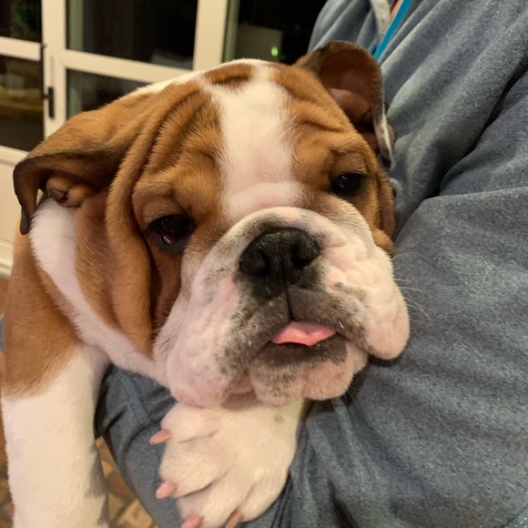 Meet your Posher, Caroline - Picture 1 of 1